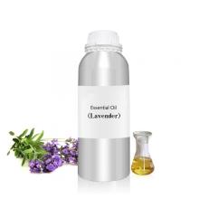 High Quality 100% Pure Lavender Oil/Essential Oil