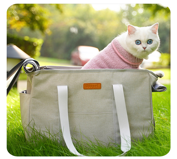 Portable Pet Carrier