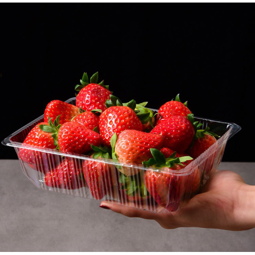 Suppliers for Ventilated Plastic Fresh Blueberry Fruit Container