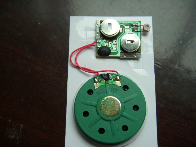 Voice recording movement