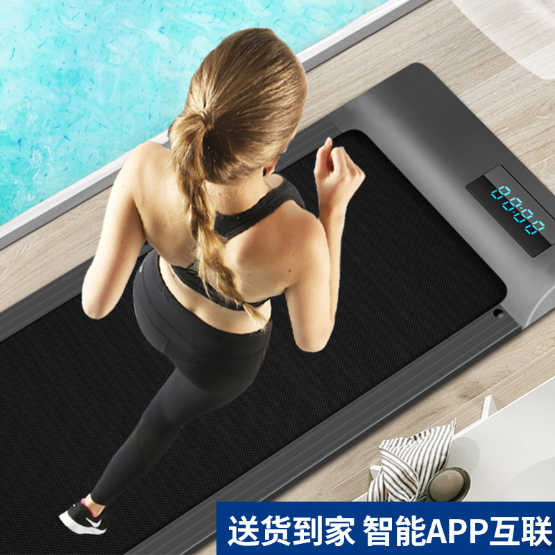 Multifunctional Household Small Quiet Simple Folding Electric Flat Treadmill 