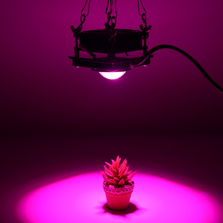 Plant Growing Lamps 200WCob Led Plant Lighting