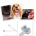 Pet Cat Toothbrush Double Heads Teeth Brushing Multi-angle Cleaning Pet Breath Freshener Oral Care For Dog Cat