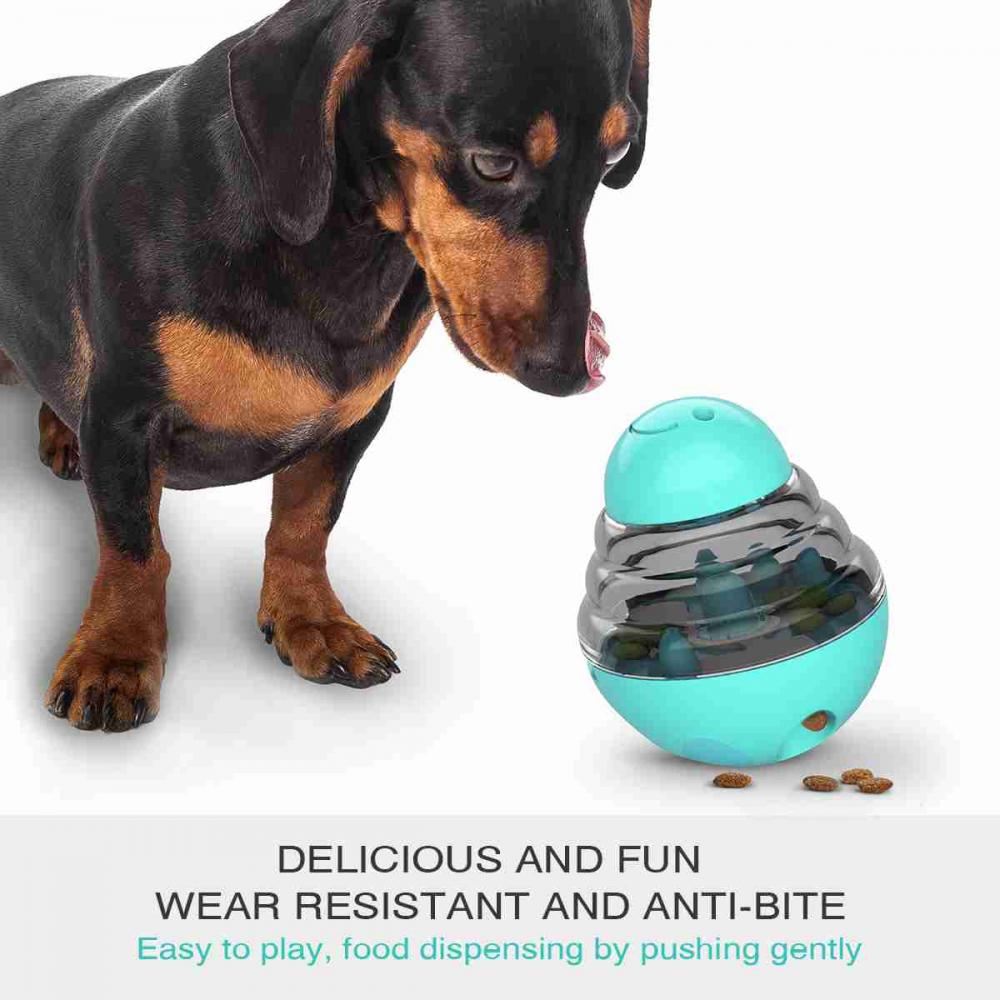 Dog Toy Amazon