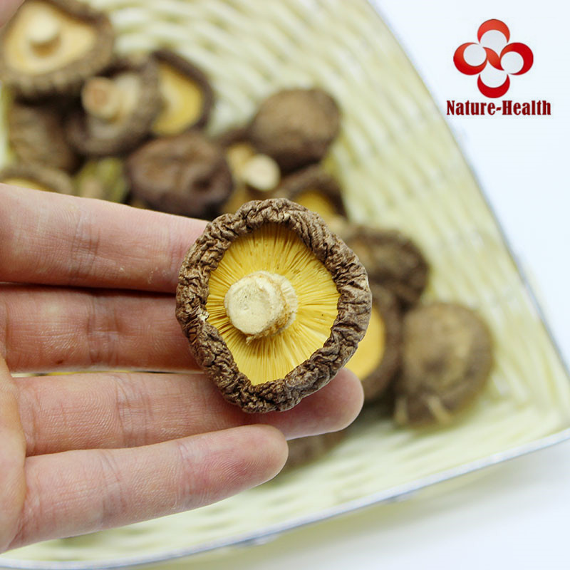 Dried Shiitake Mushrooms Premium Organic Grown Mushrooms Natural Food Fungus