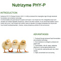 Thermostable and protease resistant Phytase for feed