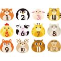 12 PCS/Set First Year Monthly Milestone Photo Sharing Newborn Baby Boy Girl Belly Stickers 1-12 Months for Photo Keepsakes