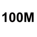 100M