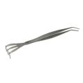 Multifunctional Stainless Steel Gardening Rake Bonsai Root Loosen Soil Spatula Dropshipping