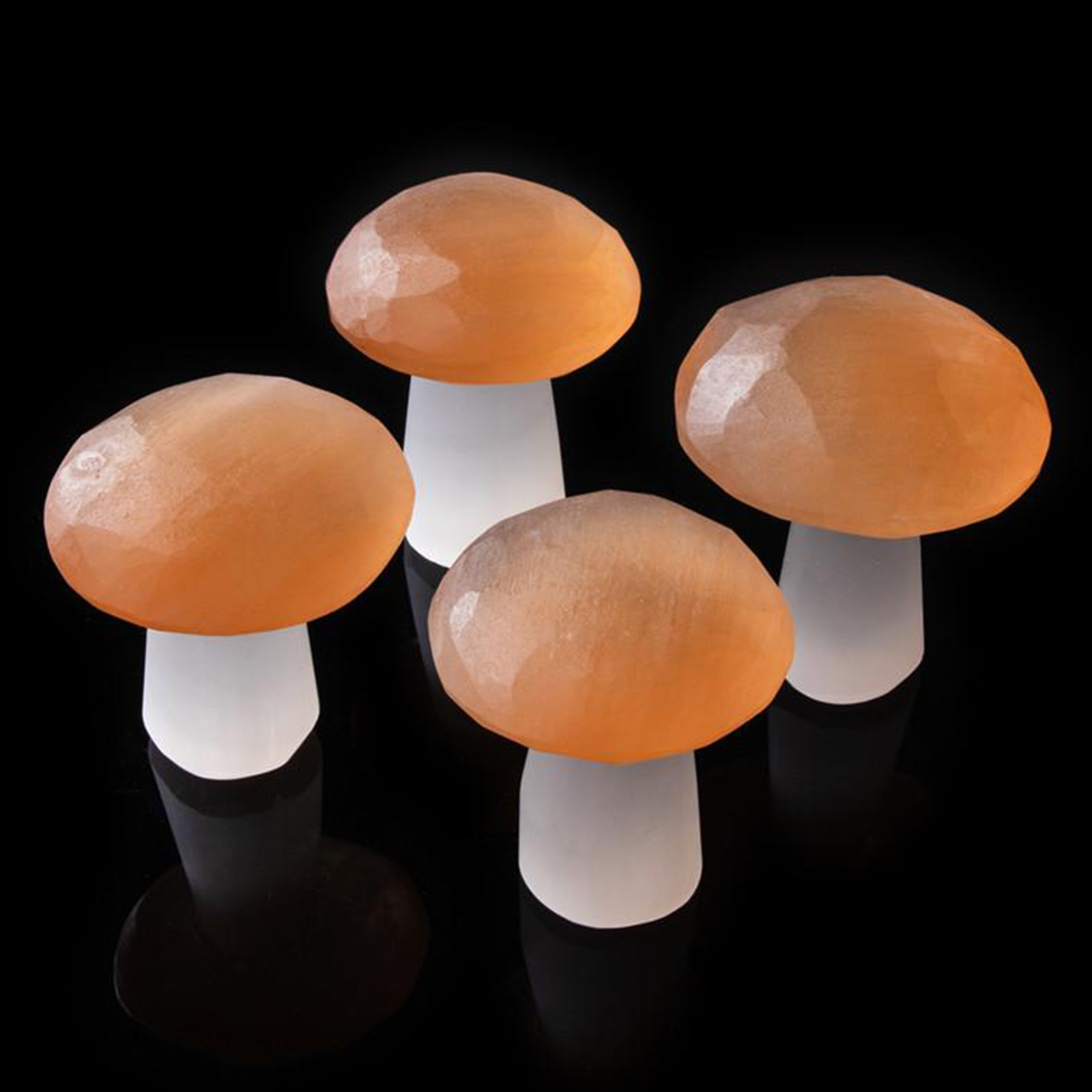 Hand Polished Natural Selenite Crystal Mushroom Home Decoration Collectible Gift Selenite Polished Mushroom Stone Home Decor