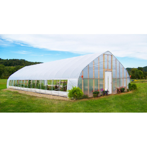 Gothic Single Span Greenhouse for Vegetables Flowers Manufacturers and Gothic Single Span Greenhouse for Vegetables Flowers Suppliers