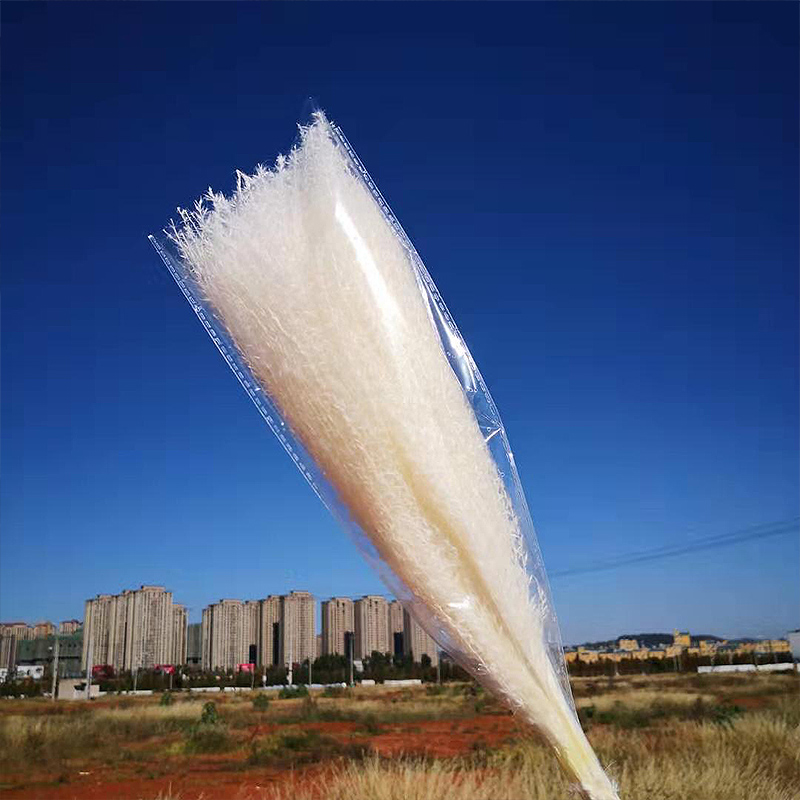 10 Pcs Dried Pampas Grass Decor Plants White Natural Phragmites Wedding Home Decor Real Dried Natural Dried Flowers Ornament