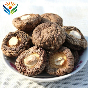 Dried Shiitake Mushrooms Wooden Organic Wild Kitchen Food Natural