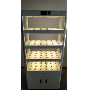 Vertical Hydroponic with Fish Tank For Vegetables Growing