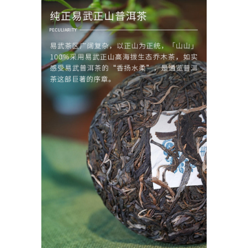 2024 Shanshan Raw Pu'er Tea 100g