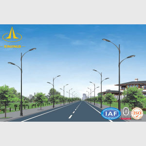 Outdoor Solar Wind Street Lamp Post For Sale