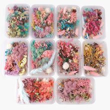 1 Box Real Dried Flower Dry Plant Home Aromatherapy Candle Resin Christmas Party Wedding Decoration Making Craft DIY Accessories