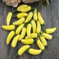 Yellow pepper (with