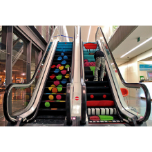 Escalator With 600mm to 800mm 1000mm Steps Sidth
