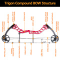 1Set 19-70lbs Archery RIGON Compound Bow Sets Right Hand USA Gordon Composites Limb Hunting Bow For Archery Shooting Accessories