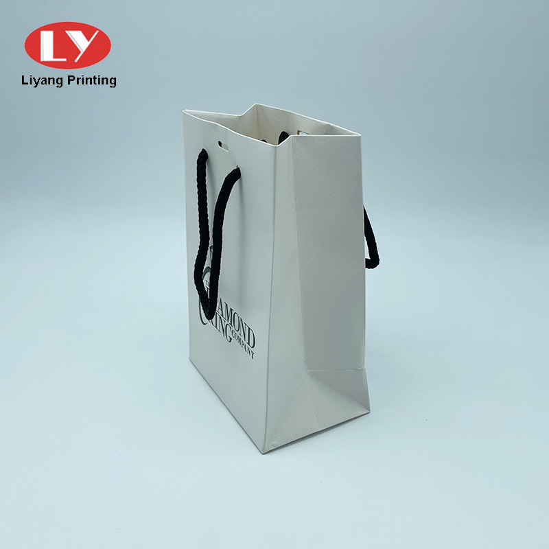 Paper Bags Refined Jpg