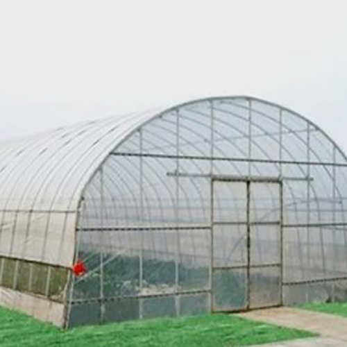 Single Span Tunnel Film Greenhouse Manufacturers and Single Span Tunnel Film Greenhouse Suppliers