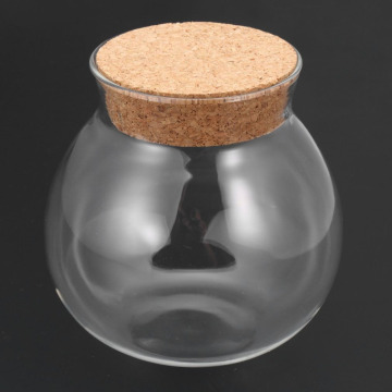 Mini Glass Bottles Empty Sample Jars With Cork Stoppers For DIY Craft Decoration Plant Vase Design Tea Coffee Sugar Glass Jar