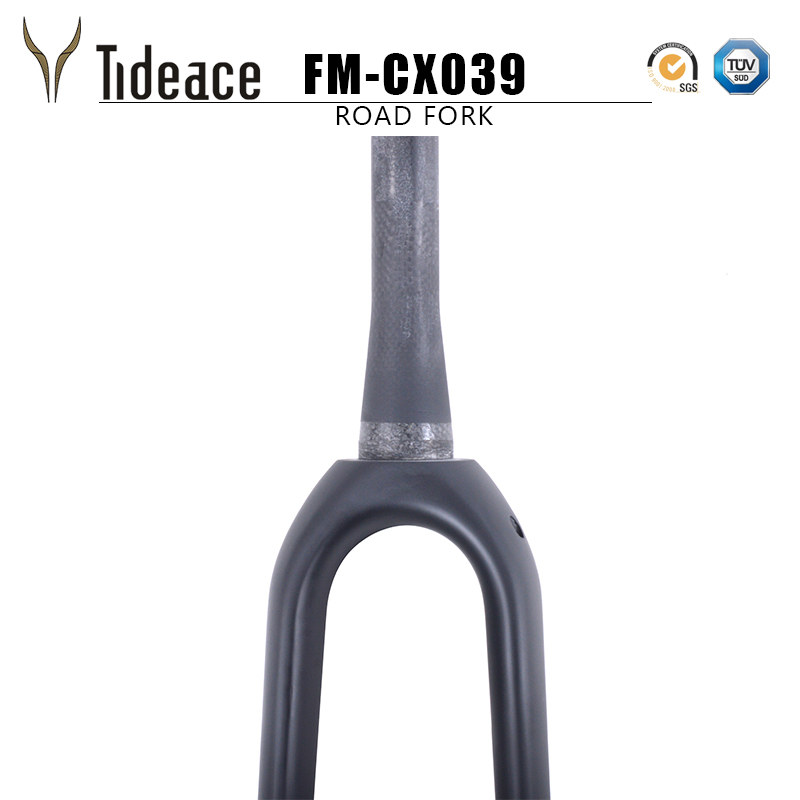 Post Mount Disc Brake fork Gravel Bike fork with thru axle 700C Carbon Tapered cyclocross CX Bike Fork 100*15mm for CX frame