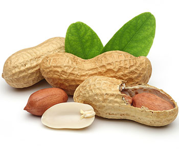 luteolin2