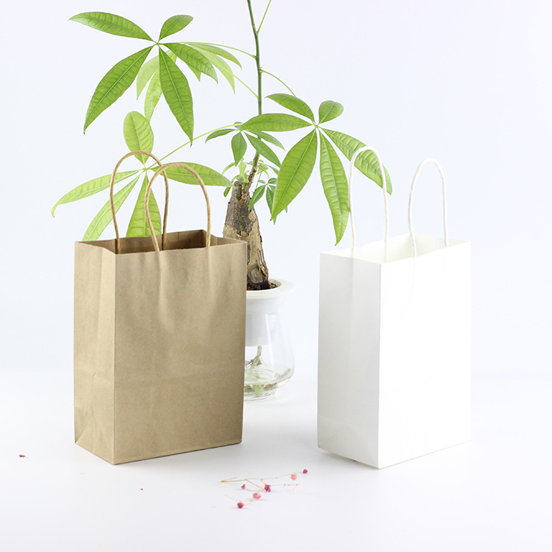 Kraft Bag