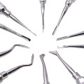 10pcs Tooth Extracting Forceps Dental Elevator Teeth Extraction Stainless Steel Curved Root Lift Elevator Pliers Surgical Tool