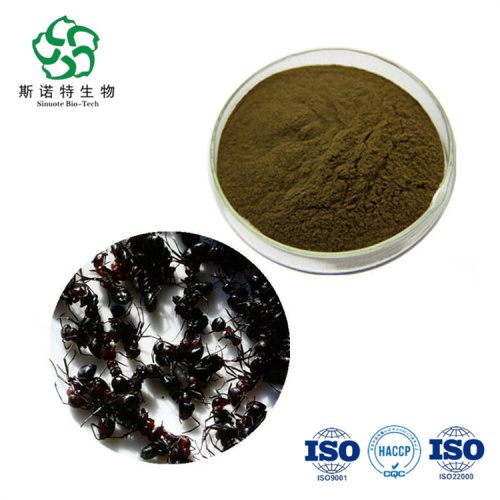 Natural Polyrhachis Black Ant Extract Powder for Sale, Offer Natural Polyrhachis Black Ant Extract Powder