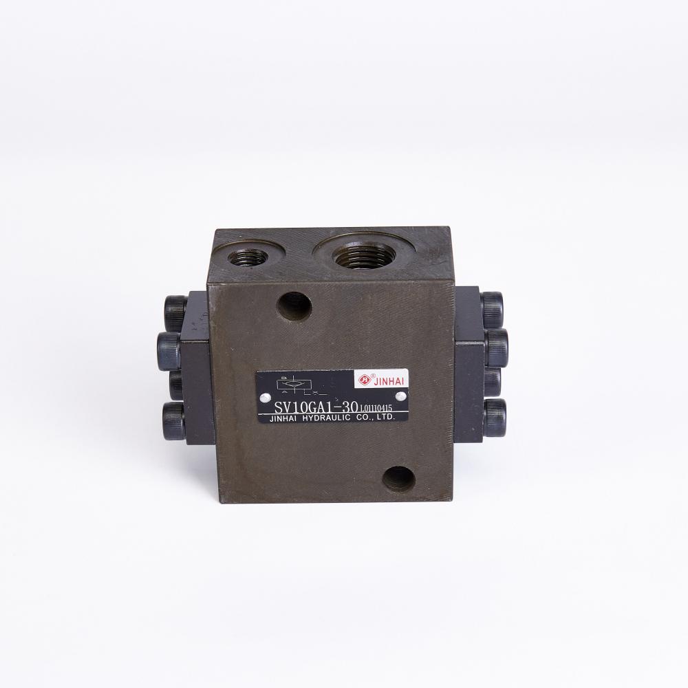Sv10g Check Valve 1