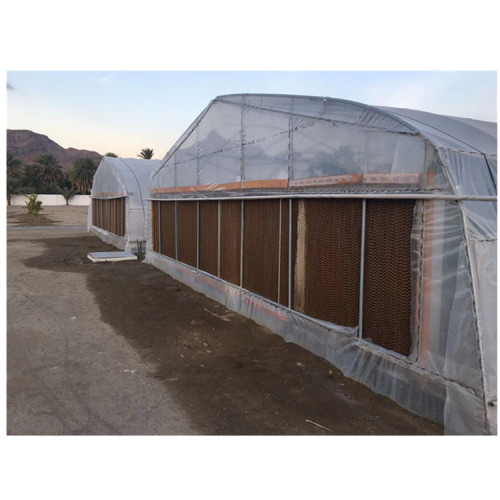 Cheap Single Span film blackout Tunnel Greenhouse Manufacturers and Cheap Single Span film blackout Tunnel Greenhouse Suppliers