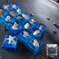 1 Piece Mechanical Keyboard Keycap Customized Personality Backlit Resin Key Cap Starfish Conch R4 Height