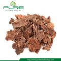 Bulk Price Dried Whole Rhodioal Rosea Root