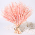 50PCS-23cm-pink