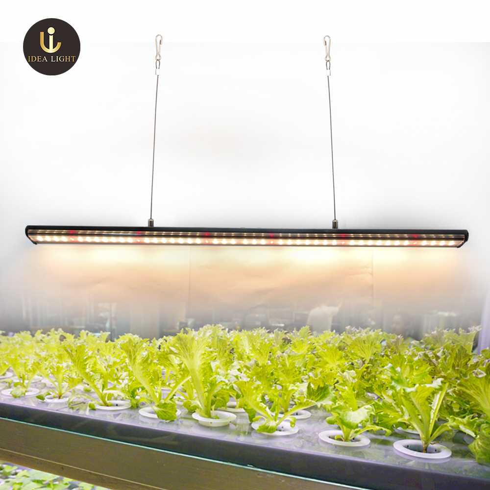 IDEA flower seeds seedlings lights for warehouse indoor plants 45W 60W 80W full spectrum led grow light strips lm301b samsung