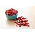 goji berry extract powder goji guarana