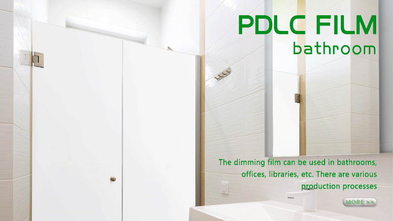 Privacy Bathroom Glass (3)