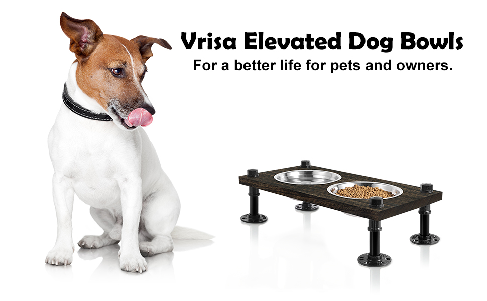 Freestanding Pet Food Bowls with Wood Panel