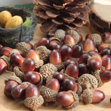 10Pcs Fake Fruits Artificial Acorn Oak Foam Nut Ornaments Home Room Party Xmas Decorative Christmas Decorations for Home