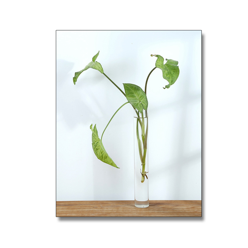 Glass Vase Tube Shape Clear Flower Bottle with Wooden Shelf Wood Stand Hydroponic Glass Container Home Decoration Ornament