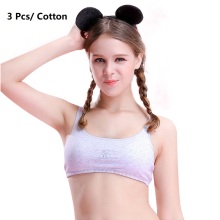 3 Pcs/lot New Girl Underwear Cotton Training Bras For Girls Add Padded Comfortable Wear Children Bra Soft Teenage Girl Brassiere