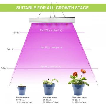 45W Panel Plant Light Full Spectrum