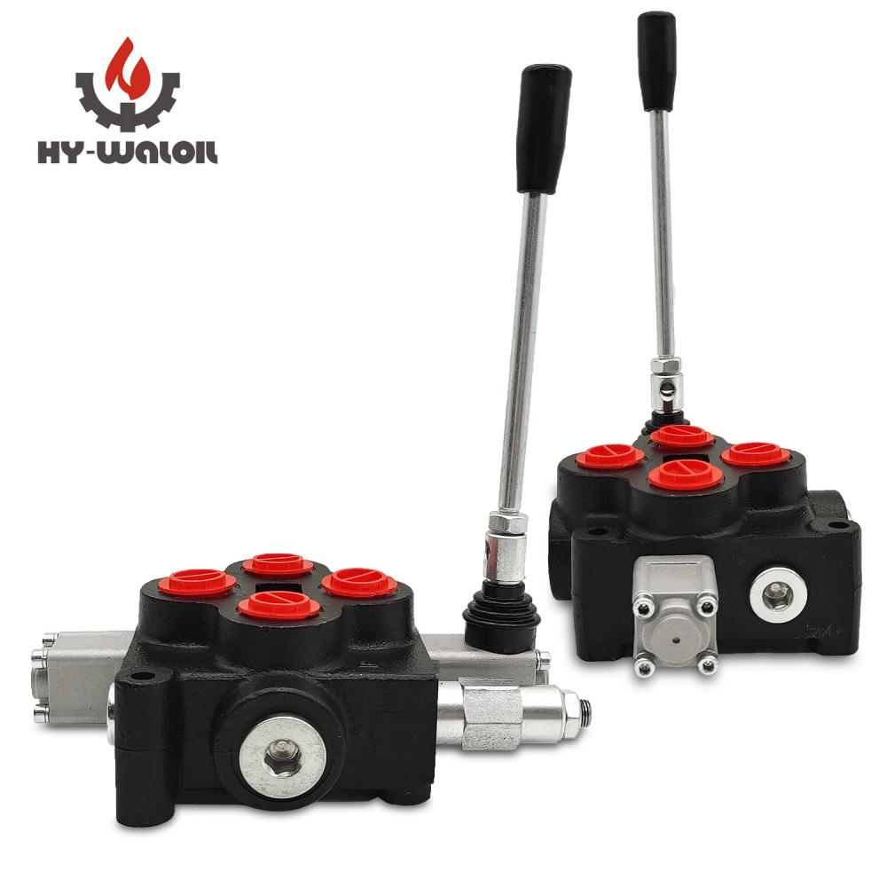 Double Acting Control Valve