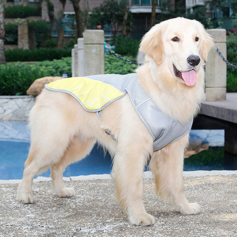 Dog Jacket