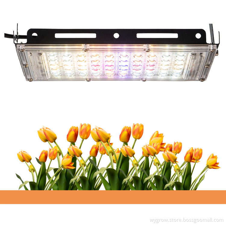 150w Plant Factory Farming led grow light