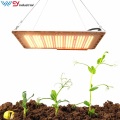https://www.bossgoo.com/product-detail/dimmable-qb350-120w-led-grow-light-59307571.html