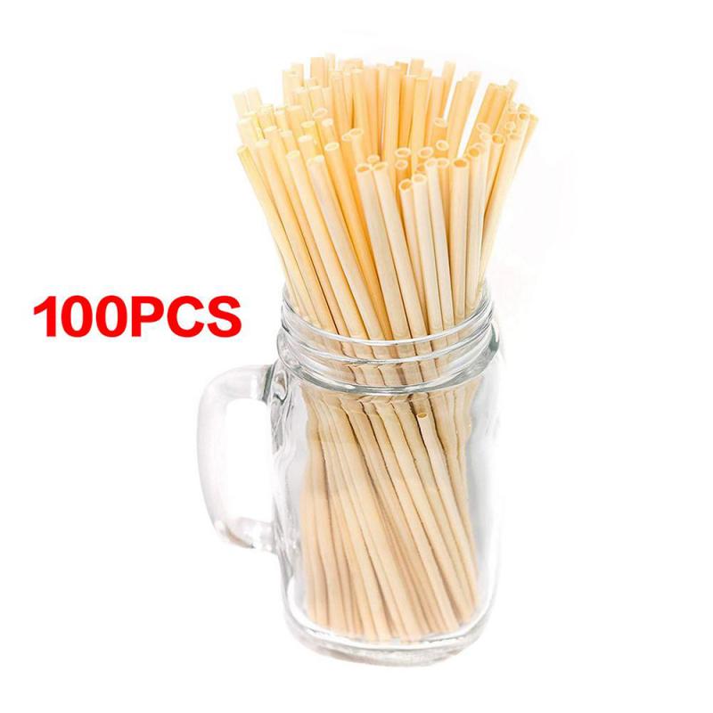 6PCS Metal Straw Set Stainless Steel Drinking Straw With Brush Spoon Straw Set & 100PCS Eco-Friendly Disposable Wheat Straws